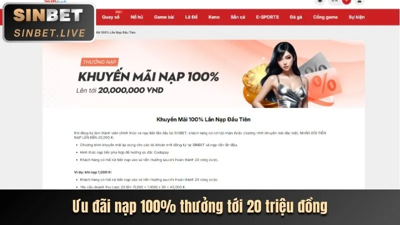 Cam kết dịch vụ của tải 6623aaa